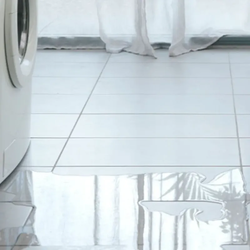 Appliance Leak Cleanup in Galva, IL