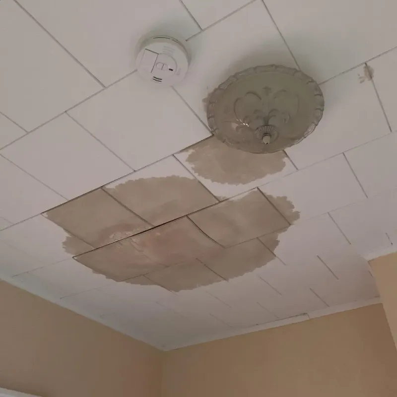 Ceiling Water Damage Repair in Galva, IL