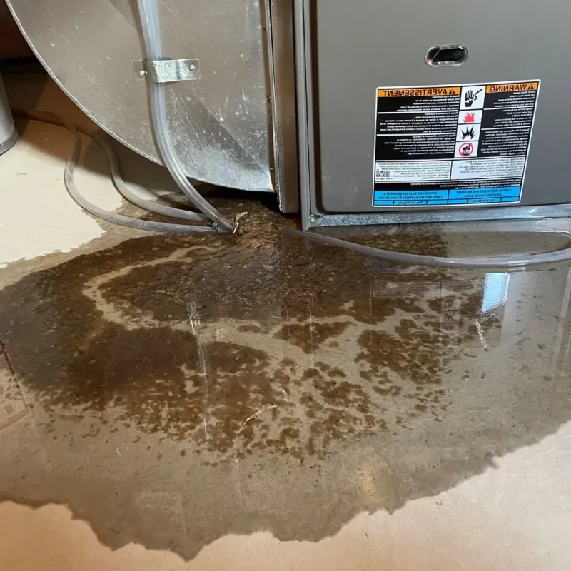 Pipe Burst and Leak Restoration in Galva, IL