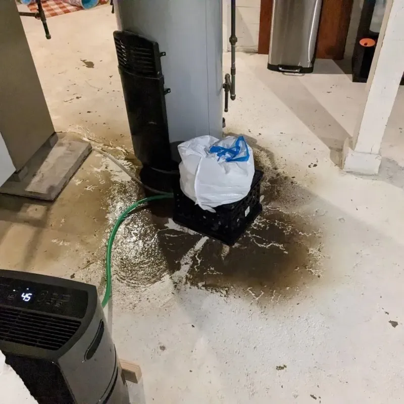 Sewage Backup Cleanup Service in Galva, IL